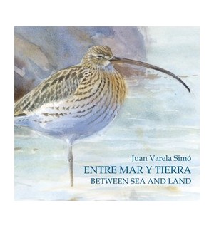 Entre mar y tierra. Between sea and land