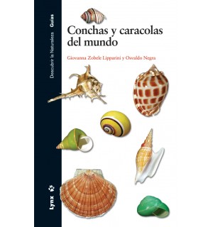 Conchas y caracolas del mundo
