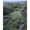 Altarejos. Un jardín en la dehesa