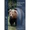 El oso pardo en los Pirineos