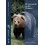 El oso pardo en los Pirineos