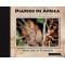 Diarios de Africa