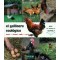 El gallinero ecol?gico con gallinas de puesta o pollos de corral