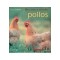 Pollos y gallinas. Elección y cría de pollos