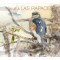 Aves. Viaje a las rapaces