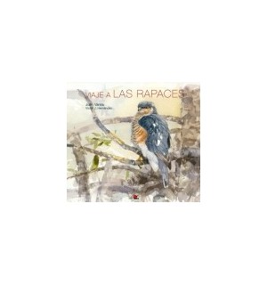 Aves. Viaje a las rapaces
