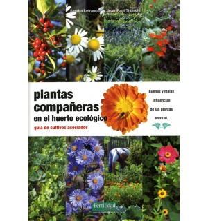 Plantas compa?eras en el huerto ecol?gico