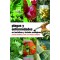 Plagas y enfermedades en hortalizas y frutales ecol?gicos