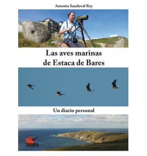 Las aves marinas de Estaca de Bares