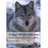 Etología del lobo y del perro