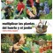 Multiplicar las plantas del huerto y del jardín