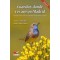 Aves. Cuándo y dónde ver aves en Madrid