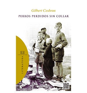 Perros perdidos sin collar
