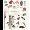El diario del naturalista