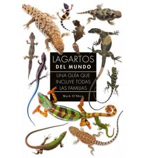 Lagartos del mundo: una guía que incluye todas las familias