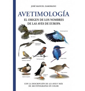 Avetimología