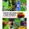Insectos que ayudan al huerto y vergel ecológicos