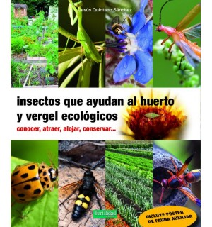 Insectos que ayudan al huerto y vergel ecológicos