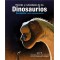 Records y curiosidades de los dinosaurios. Sauropodos y otros sauropodomorfos