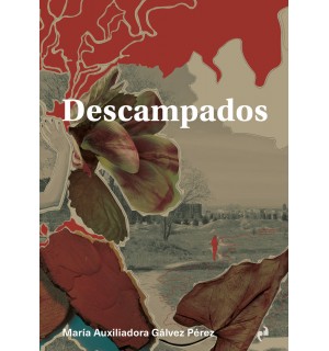 Descampados