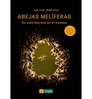 Abejas melíferas