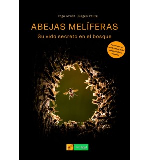 Abejas melíferas