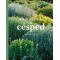 Alternativas al cesped