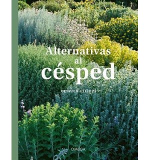 Alternativas al cesped
